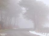winterplaatjes 2025